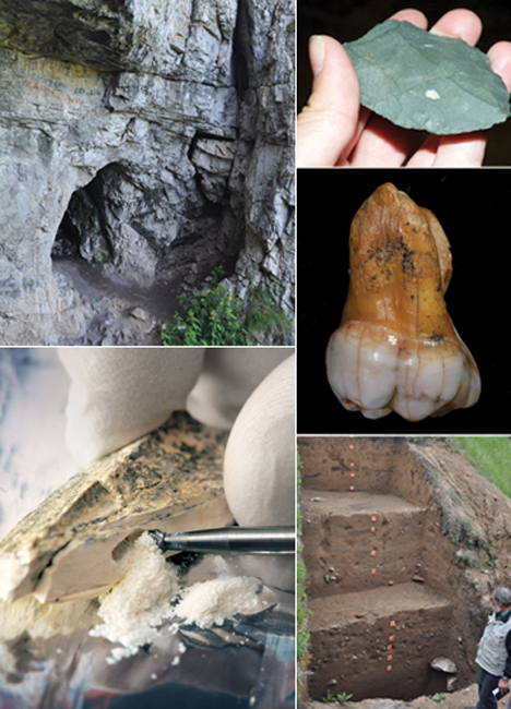 collage of images: burr tool removing material from a bone, gray stone with cave opening; hand holding a honed and sharpened green stone; a molar showing traces of dirt from excavation; step-like cuts into ground with orange markers indicating layers