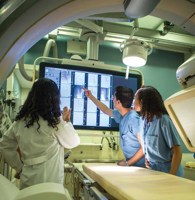 Cover image of the 2018 - 2019 Dean's Report