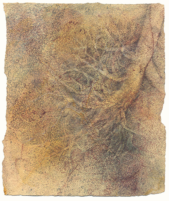 illustration of bronchial tree