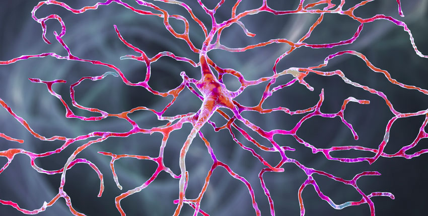 Retinal neuron shown in bright colors, including pink and orange, on a grey background