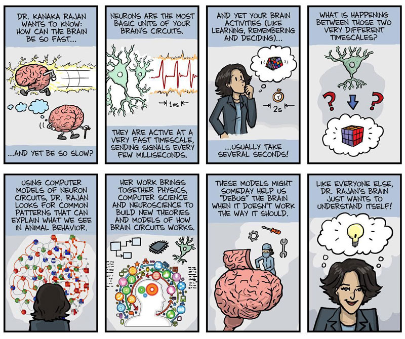A comic with eight panels describing Kanaka Rajan's computational neuroscience research. Rajan uses computer models to look for patterns that can explain how the brain is so fast at carrying out activities such as learning, remembering, and deciding. 