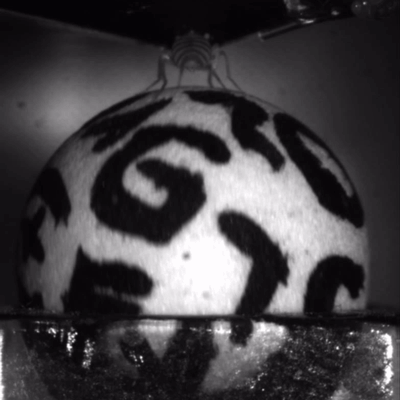 A black and white video of a fruit fly running on a large ball