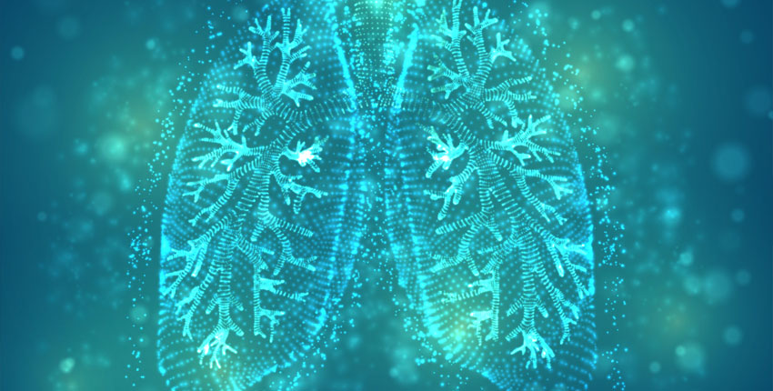 A stylized image of human lungs in blue and green