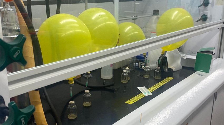 Inside the hood in a lab, four yellow balloons are attached to vials