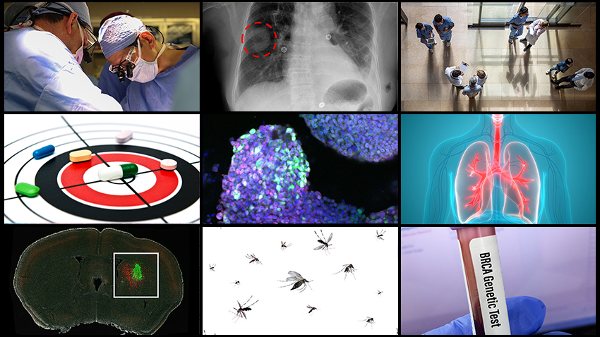 A grid of 9 images represents top HMS science articles from 2024. They show two surgeons at work; a spot circled on a lung X-ray; health care providers seen from above; a target with pills scattered across it; cells colored purple and aqua under a microscope; illustration of lungs; a mouse brain with a cluster of green cells; mosquitoes; and a vial of blood labeled “BRCA Genetic Test.”