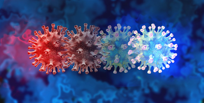 A row of four slightly overlapping COVID-19 viruses, transitioning from red on the left to blue on the right