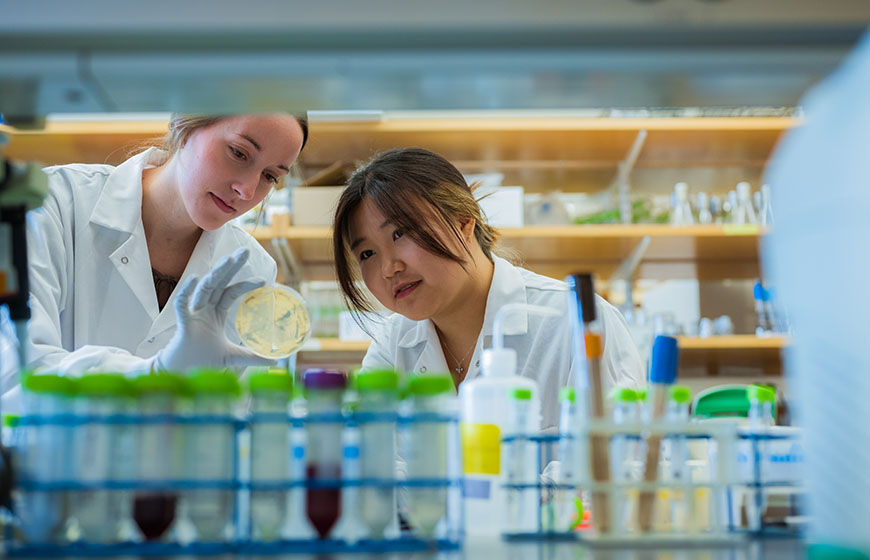 Two researchers in lab coats examine a petri dish in a Harvard Medical School laboratory.