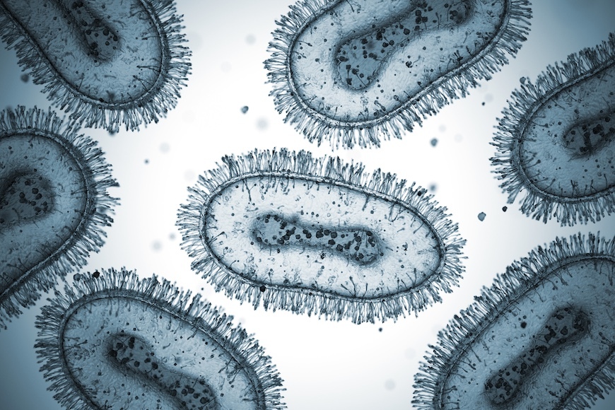 3D rendering of monkeypox virus particles under magnification.