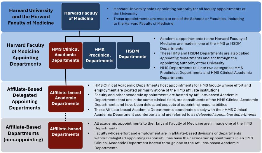 Academic appointments to the Faculty of Medicine: Departmental responsibilities