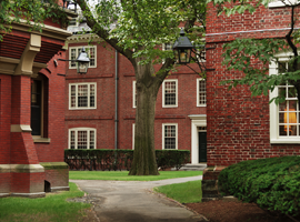 A peaceful Harvard University campus with red brick buildings and a central tree.