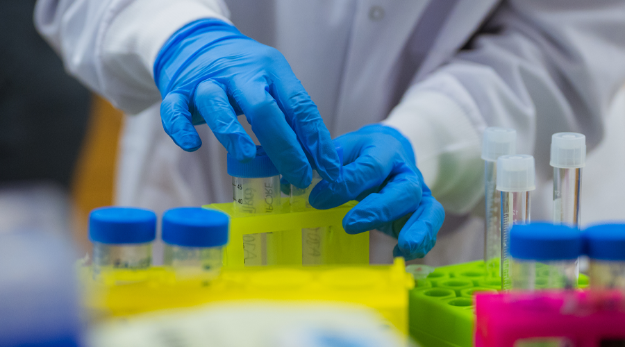 Gloved hands handling test tubes in a lab setting.