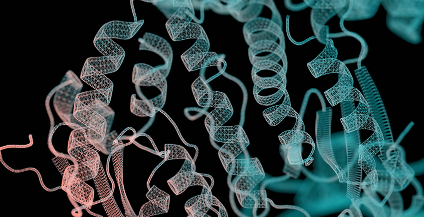 A stylized image of several pink and teal spring-like protein structures on a black background