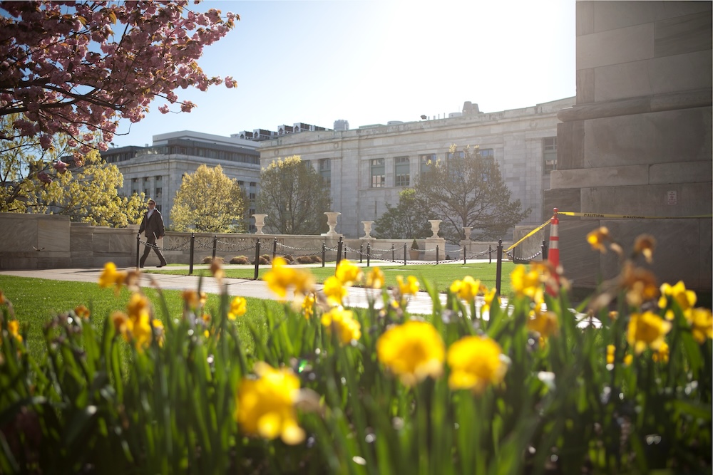 A morning shot of the HMS campus with daffodils in the foreground.
