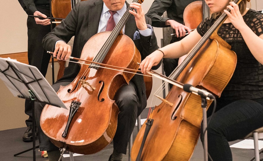 A closeup of two cellos being played side-by-side.