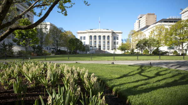 The HMS Quad in spring.