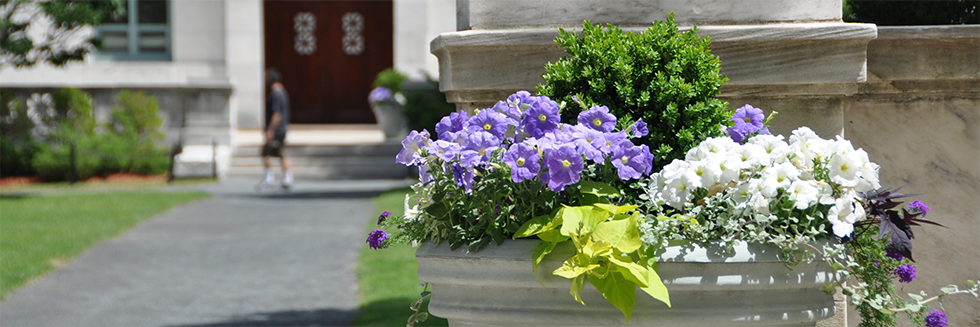 Flower Pot on the Quad
