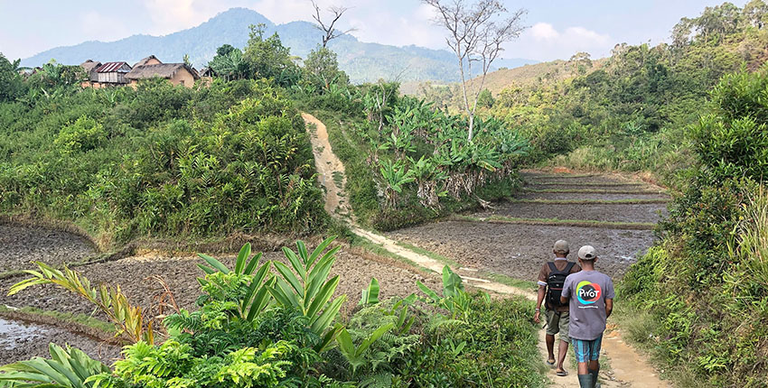 Two people walk along a dirt path bordered by green vegetation and rice paddies in a hilly rural area.