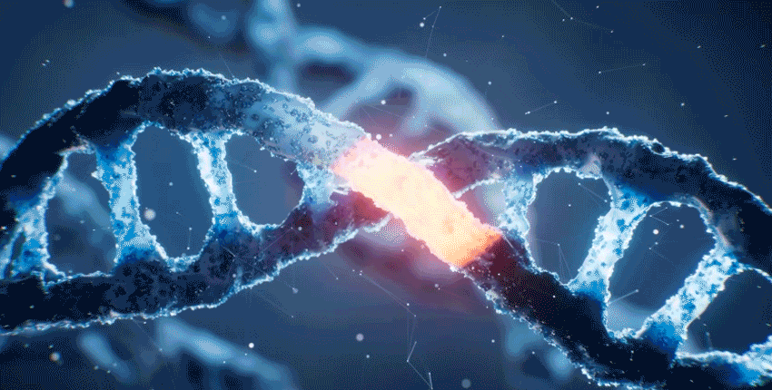 A rotating, blue, helical DNA ladder with a glowing orange section