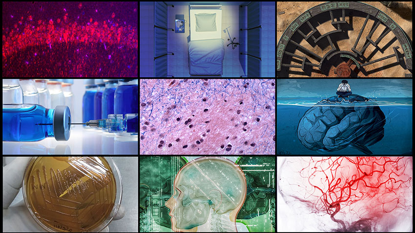 Grid of nine images featured in the news stories on this page