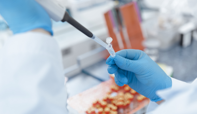 gloved hand holding pipette