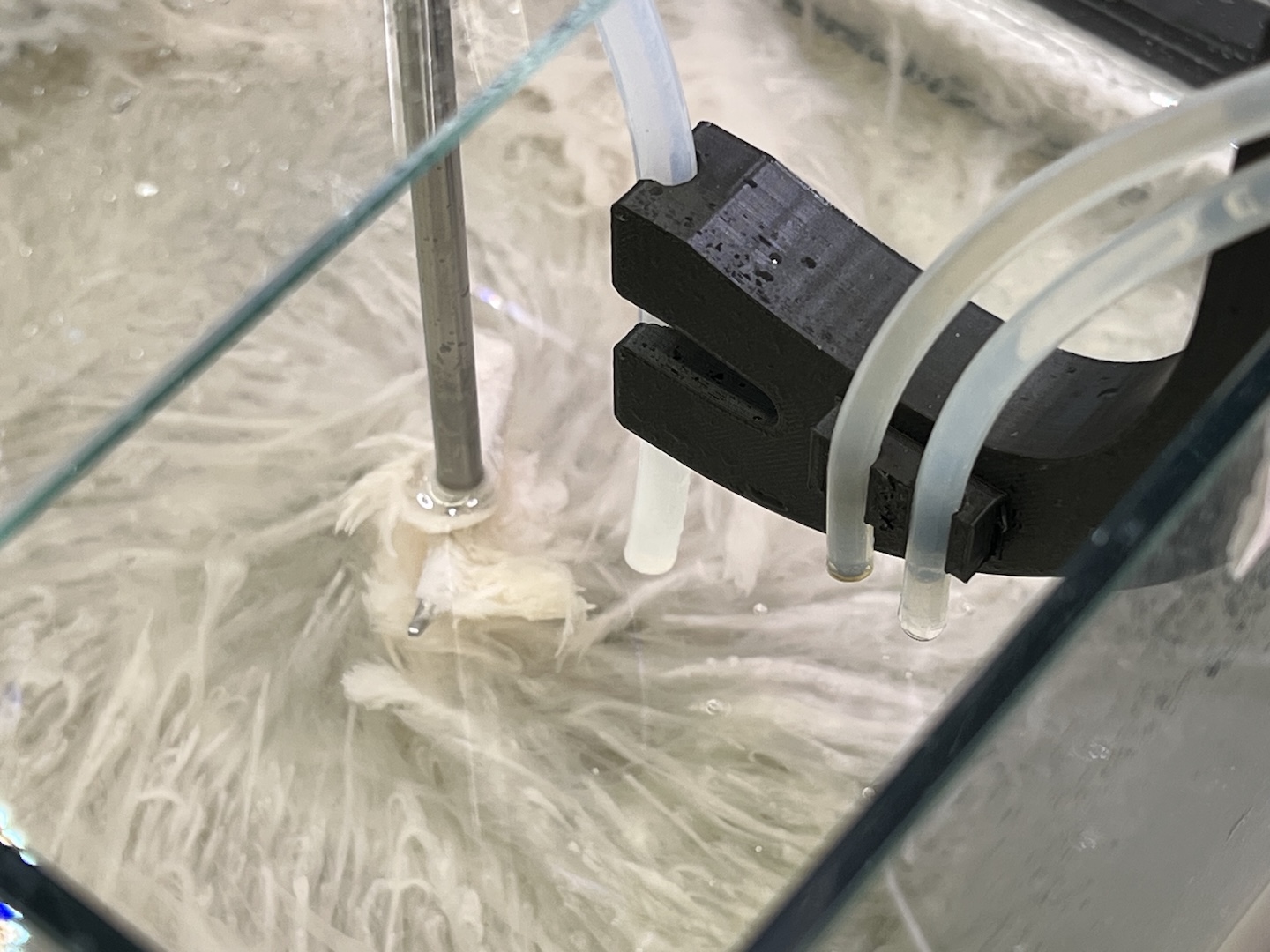 A photo of bacterial films swirling in water in an experimental tank.