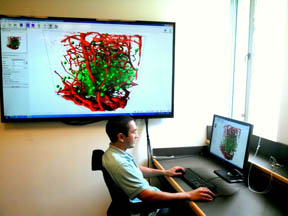 Picture of a male employee using the computer and technological equipment to conduct research.