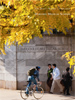 The Dean's Report 2009-2010