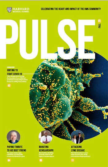 Cover of Fall 2020 Pulse.