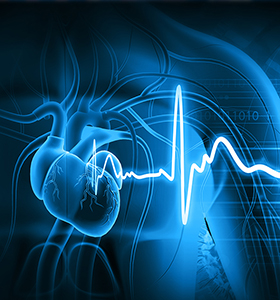 3d illustration of human heart with ecg graph