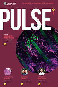 Pulse 2019 Fall cover