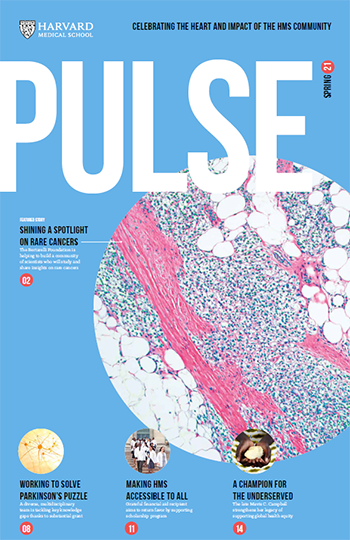 Cover of Spring 2021 Pulse.