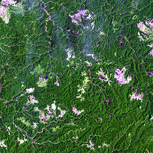 June 8, 2001, satellite image of surface mining sites in West Virginia