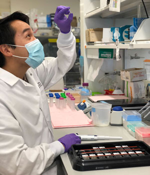 A student wearing gloves and a mask holds up a slide to look at it in a lab