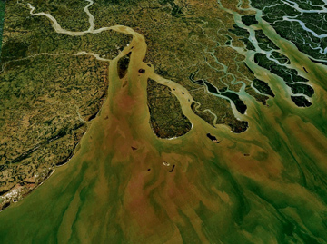 People in the Ganges River Delta of Bangladesh have been affected by cholera for centuries. Image: NASA World Wind screenshot via Wikimedia Commons