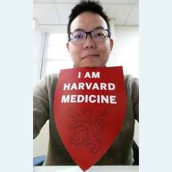 Why is harvard the best medical school? what are some examples?