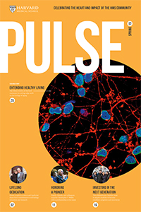 Cover of spring 2019 issue of Pulse. 