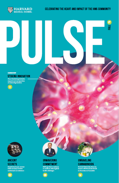 Cover of fall 2019 issue of Pulse.