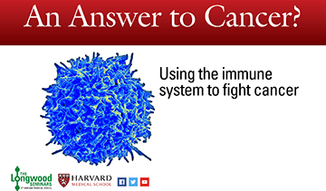 An answer to cancer? Using the immune system to fight cancer