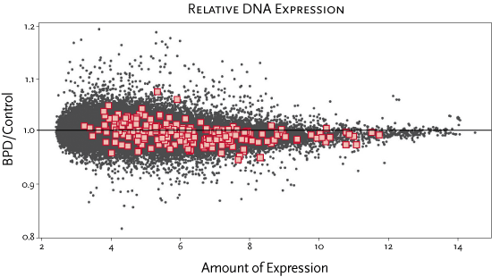 Crossing the line. Since the gray dots are as likely to fall above the horizontal line as below it, their pattern indicates that no individual gene was expressed at a substantially different level in infants who went on to develop bronchopulmonary dysplasia (BPD) compared with those who did not. Yet the genes in the chromatin-remodeling pathway— represented by red squares—are significantly more likely to fall below the line, indicating that as a group they are turned on less often in infants who develop BPD. Courtesy Isaac Kohane