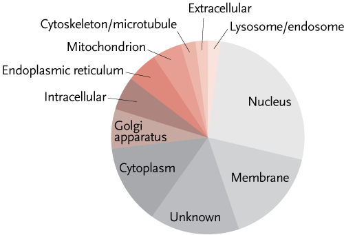 What a virus needs. HIV appears to depend on 273 host cell factors that play a role in an array of cellular pathways from autophagy to retrograde trafficking out of the Golgi. This subcellular localization chart suggests the functional diversity. Courtesy Science.