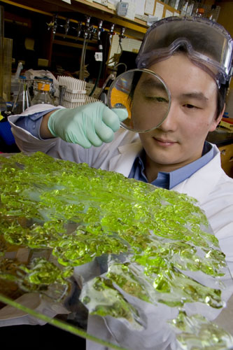 Timothy Lu has turned the natural enemy of bacteria into a more powerful, synthetic defensive force that could help clinicians win the battle against antibiotic-resistant bugs. Photo courtesy of the Lemelson-MIT Program.