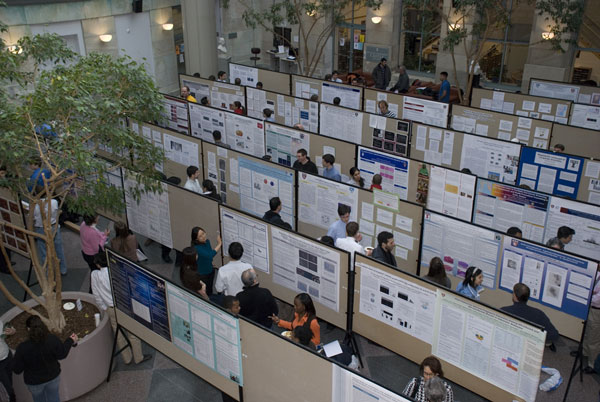More than 100 Harvard medical students presented their research in the poster session at the longstanding and venerated forum for celebrating student research. Photo by Jan Reiss.