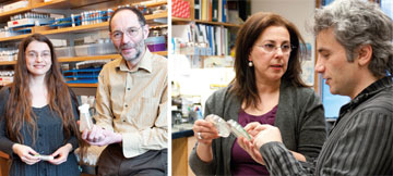 From left, Chrysoula Pitsouli, Norbert Perrimon, Laurence Rahme and Yiorgos Apidianakis found that inflammatory signals induced by bacterial infection may initiate tumors if combined with genetic risk factors for cancer. The team identified a specific molecule released by the bacterium P. aeruginosa that can mediate the tumorigenic effect of infection in fly intestines. Photos by Joshua Touster.