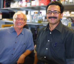 John Mekalanos (left), Shah Faruque and colleagues uncovered steps in the transfer of potent disease-causing genes among strains of cholera bacteria. Photo by Jennifer Sarbahi.