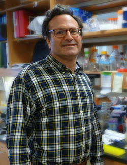 Matthew Waldor (above), with John Mekalanos, Stephen Calderwood, Jason Harris, Eric Schadt and colleagues, showed definitively that the strain of cholera erupting in Haiti matched bacterial samples from South Asia. Photo by Jennifer Sarbahi.