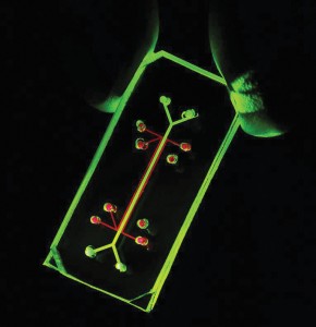 The lung-on-a-chip device (above) could reduce dependence on animal testing in the pharmaceutical industry. Photo courtesy of the Wyss Institute for Biologically Inspired Engineering.