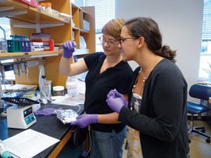 Angela DePace (left) and research assistant Meghan Bragdon examine a vial at one of the laboratory’s recycled benches. Photo by Jennifer Sarbahi.