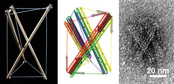 A natural balance. Tensegrity structures are found in nature as well as the built environment. At left is a tensegrity structure made of wooden rods and string and, center, a diagrammatic image of one constructed with DNA struts (colored ladders folded into rods) and DNA cable strands (colored single lines). At right is an electron micrograph of an actual nanoscale tensegrity structure built using the new DNA-based, self-assembling nanofabrication capabilities. The scale bar equals 20 nanometers. Images by Tim Liedl.