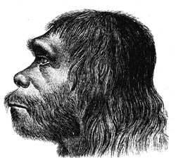 An artist’s depiction of a Neanderthal man shows a member of this species that interbred with modern humans, likely along the migration routes that modern humans took out of Africa. Image courtesy of Max-Planck Institute.