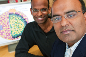 Kiran Musunuru (left) and Sekar Kathiresan sit near a stylized figure of a lipoprotein particle, which carries lipids in human blood plasma. Photo by Joshua Touster.